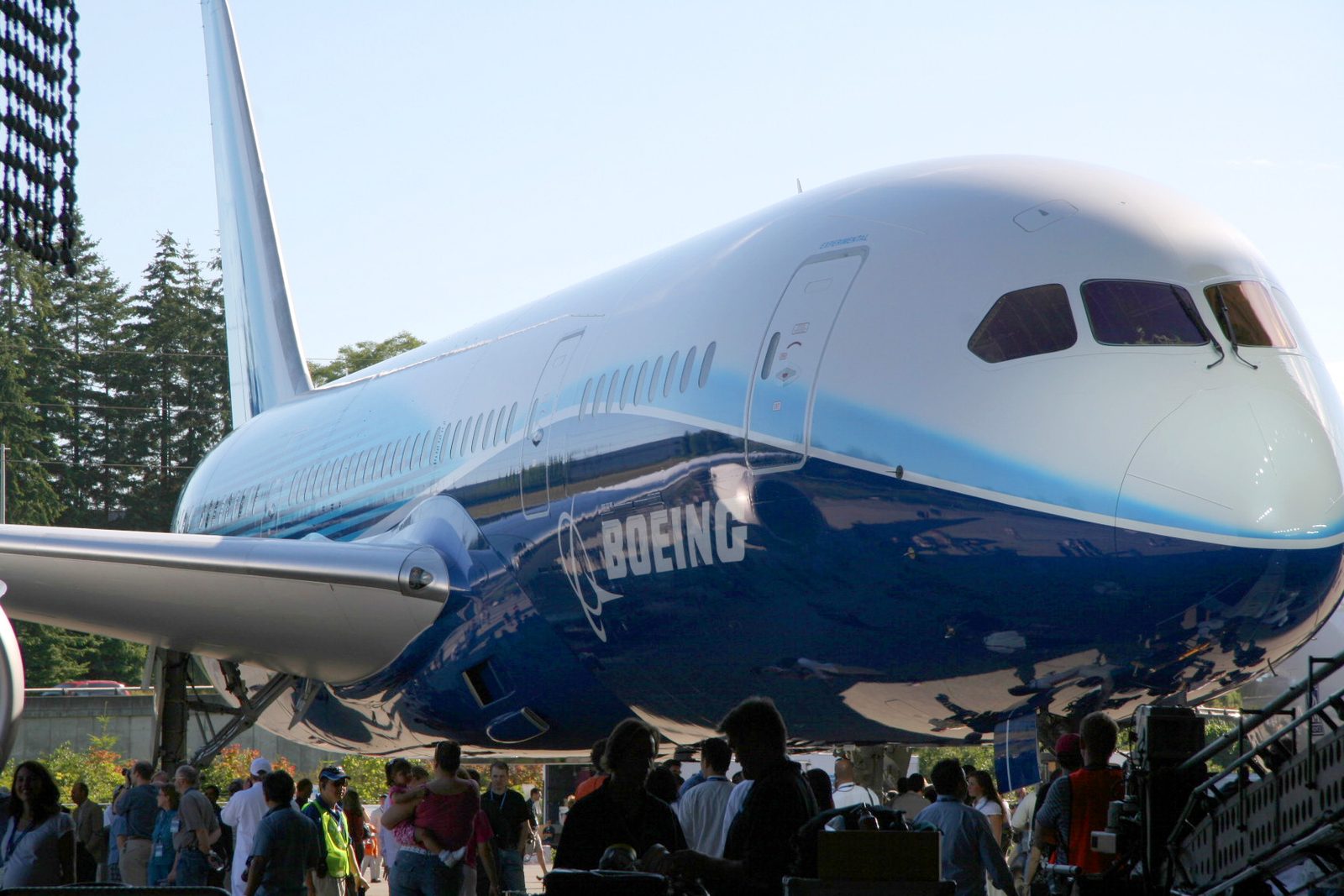 B787 aircraft